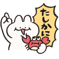 おふざけするうさぎときどきにんじん7